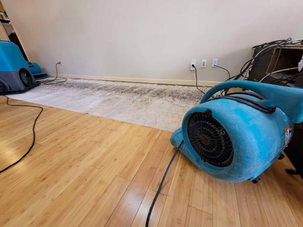 Professional Water Removal technician working in Hortonville, WI